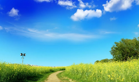 环境检测市场前景不容小觑&nbsp;2030年全球市场将达到29亿美元