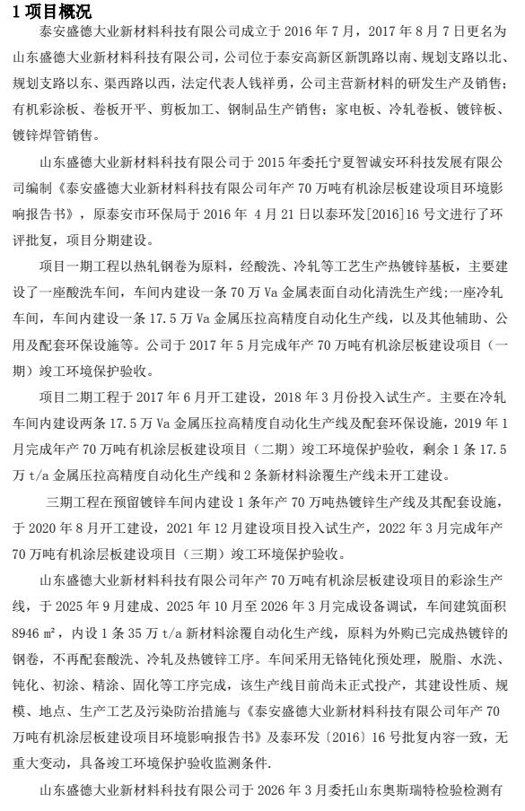 山东盛德大业新材料科技有限公司竣工环境保护验收监测报告